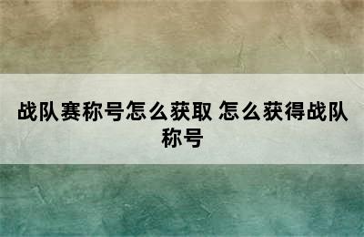 战队赛称号怎么获取 怎么获得战队称号